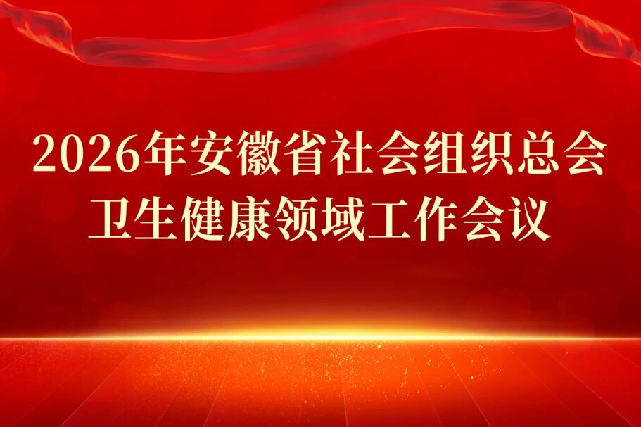 【汇聚行业智慧 共谋发展新篇】安徽省社会组织总会卫生健康领域2026年工作会议在华安脑科医院圆满召开